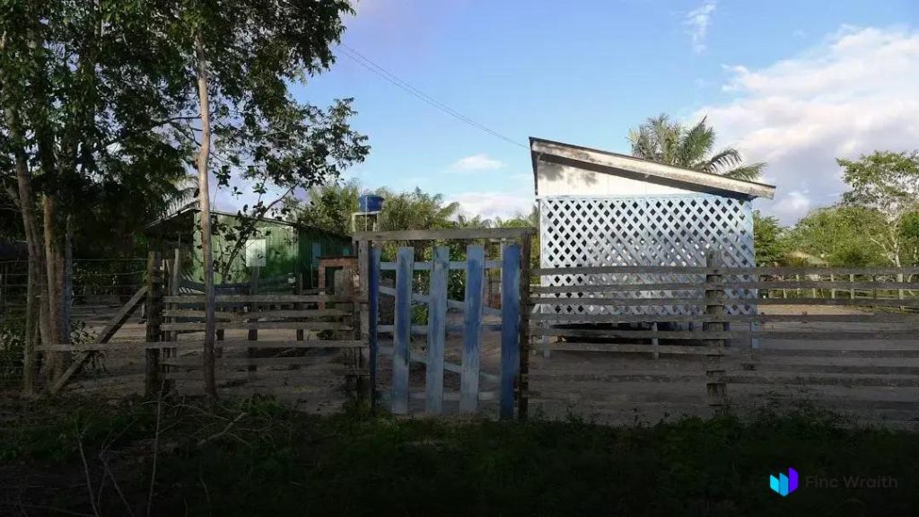 Buying Wooden Furniture Online: Essential Tips You Need