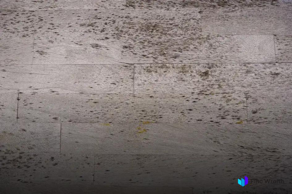 Modern Wooden Furniture Ideas for Chic and Cozy Homes